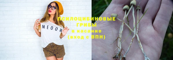 2c-b Верхний Тагил
